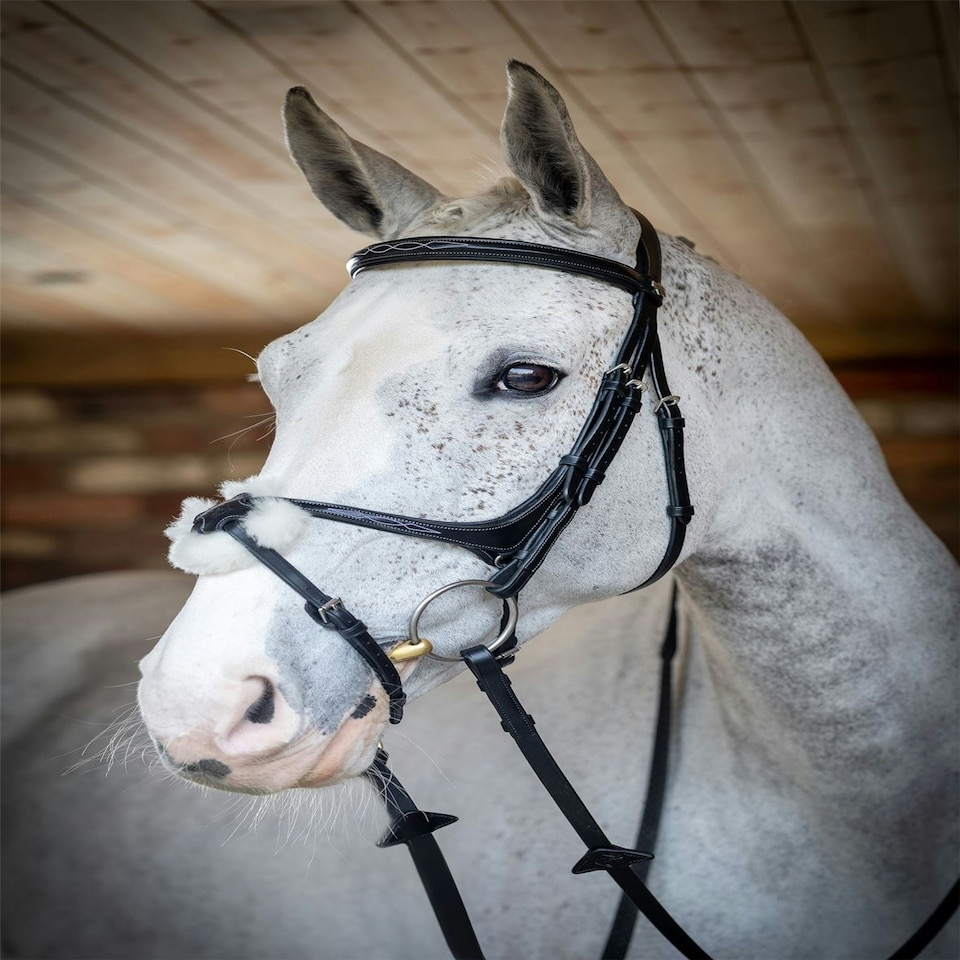 image 1 of LeMieux Grackle Bridle Black | Cob