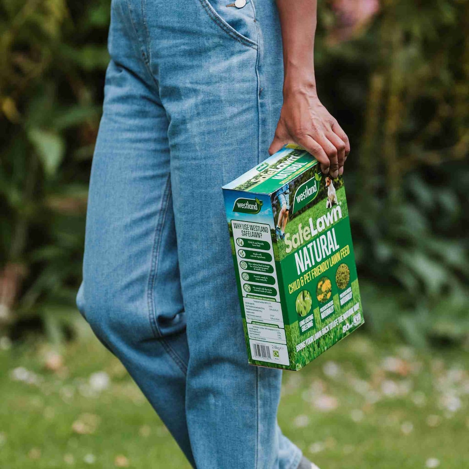 image 1 of Westland SafeLawn Natural Lawn Feed, Child and Pet Friendly | Multi | 1 x 400sqm Bag