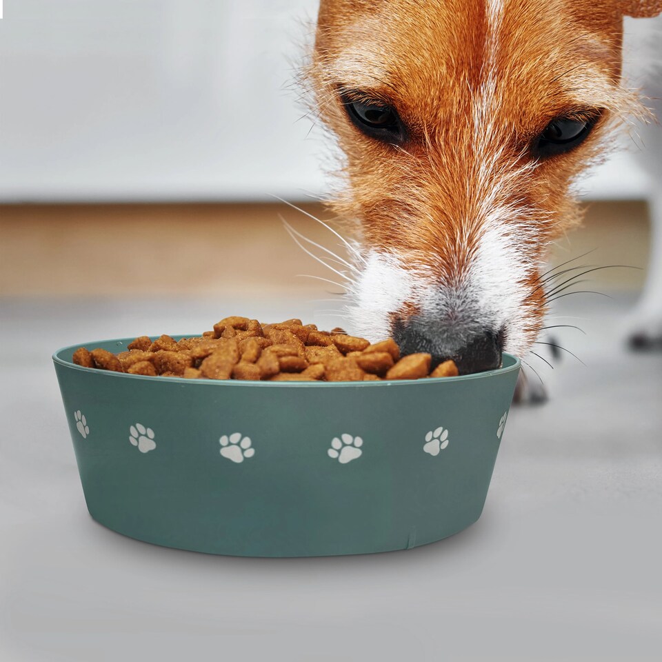 image 1 of Pre-personalised Dog Bowl Featuring Popular Names, Breeds and Captions - Barney - Over 60 Titles Available