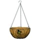 image 1 of Primrose Bee-Conscious Hanging Basket with Black Metal Frame and Coco Liner 36cm