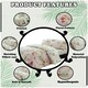 image 2 of VELVETIO Birdie Blossom Printed Duvet Cover Set Reversible Polycotton Beddings Pink | King