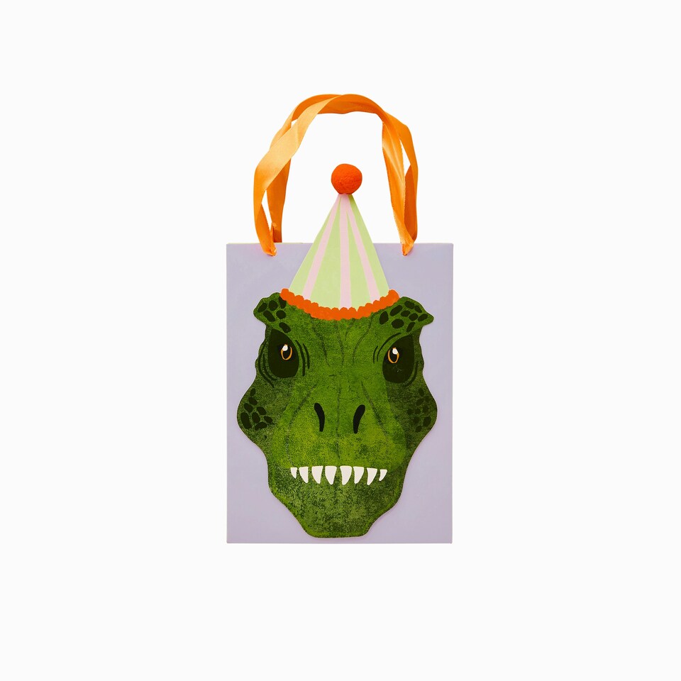image 1 of Dinosaur Party Bags - Pack of 5