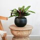 image 10 of Hammered Bowl Planter - Iron - L30 x W30 x H21 cm - Black | Black