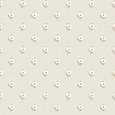 Sample of Ditsy Posy Wallpaper in Taupe on Cream Multi
