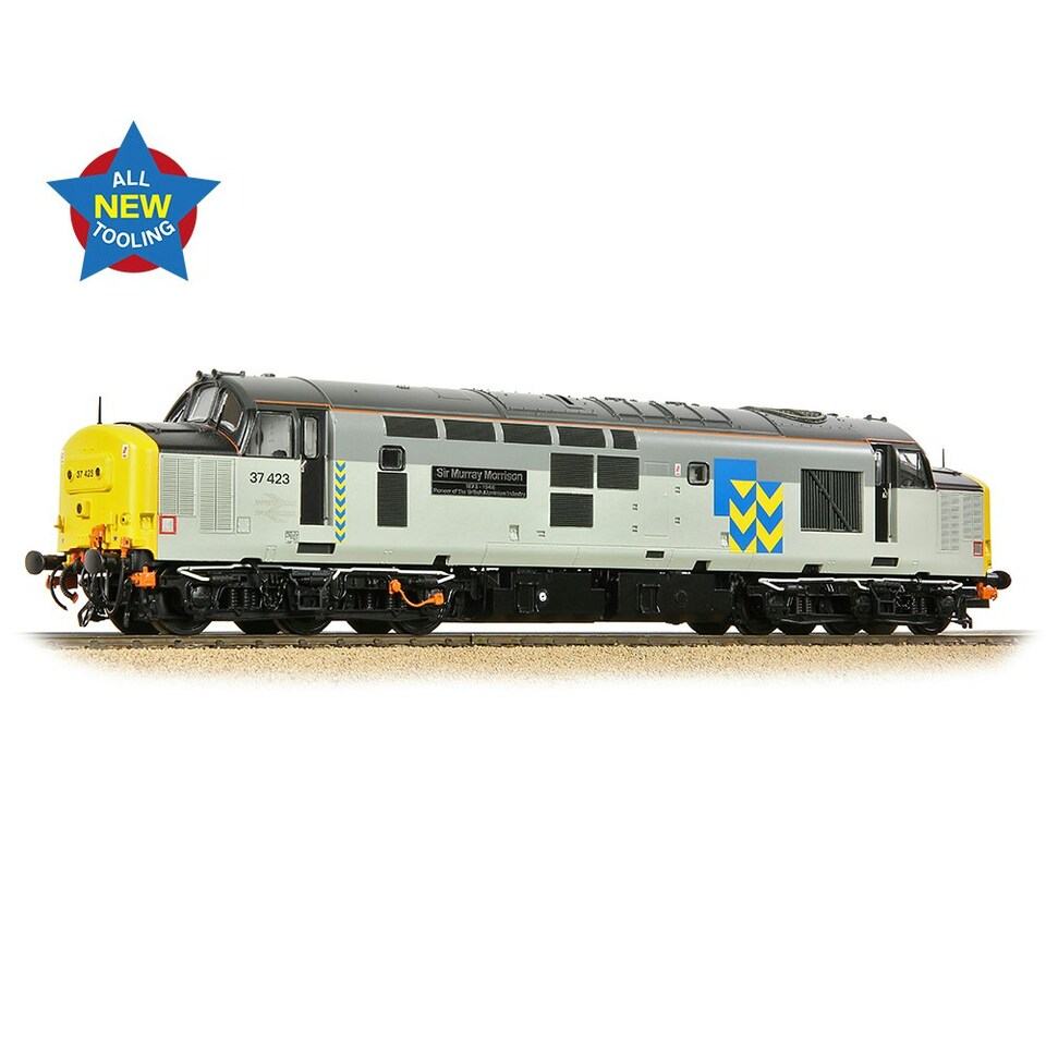 Bachmann Class 37 423 'Sir Murray Morrison' BR Railfreight Metals