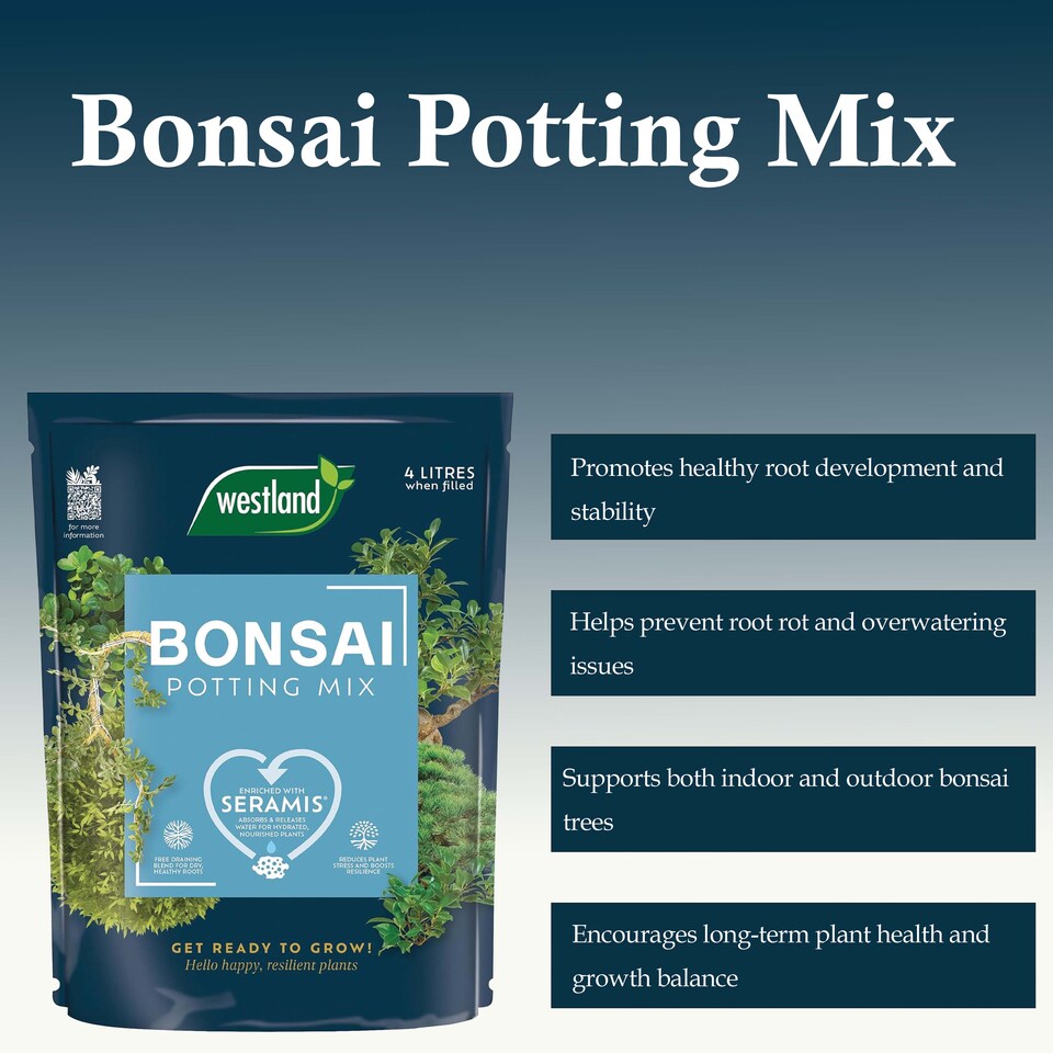 image 1 of Westland Bonsai Potting Mix 4L Free Draining Peat Free Brown Soil for Healthy Bonsai Growth & Strong Roots