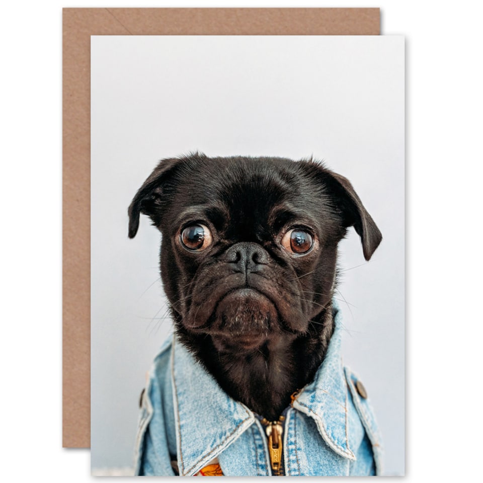 image 1 of Deluvio Pug Puppy Dog In Jacket Greetings Card