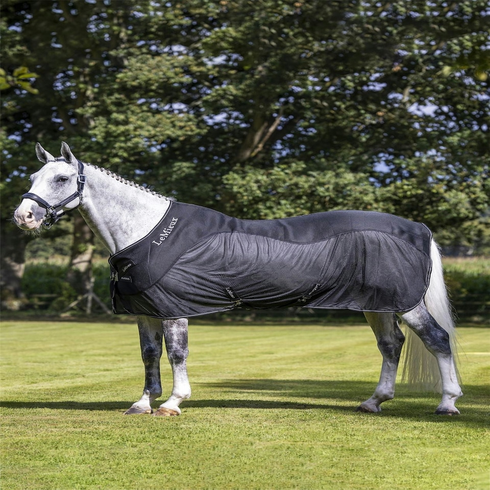 image 1 of LeMieux Kudos Mesh Sports Cooler Rug Black | 6ft 0