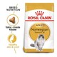 image 1 of Royal Canin Norwegian Forest Cat Adult Dry Cat Food - 10 kg (Hairball Care, Skin & Coat Support) | Multi | 10kg | 1