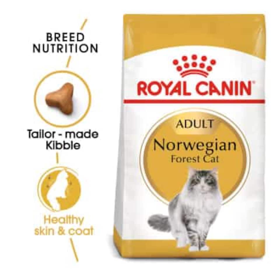 image 1 of Royal Canin Norwegian Forest Cat Adult Dry Cat Food - 10 kg (Hairball Care, Skin & Coat Support) | Multi | 10kg | 1