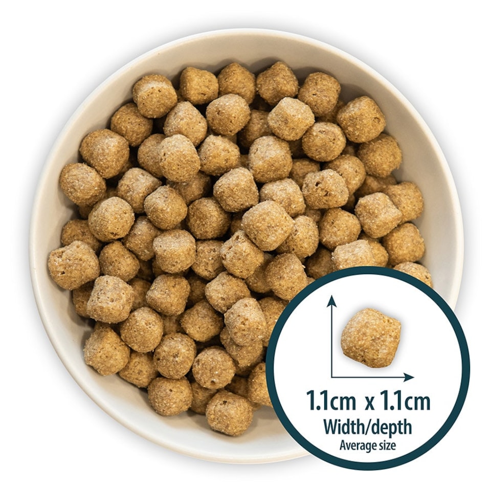 image 1 of Burns Sensitive Pork & Potato Hypoallergenic Low-Fat Adult Dry Dog Food - 2 kg