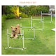 image 8 of PawHut 4 Pieces Dog Agility Training Equipment with Carrying Bag, White