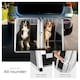 image 4 of Dog Crate Double - angled back wall, aluminium transport box, lockable