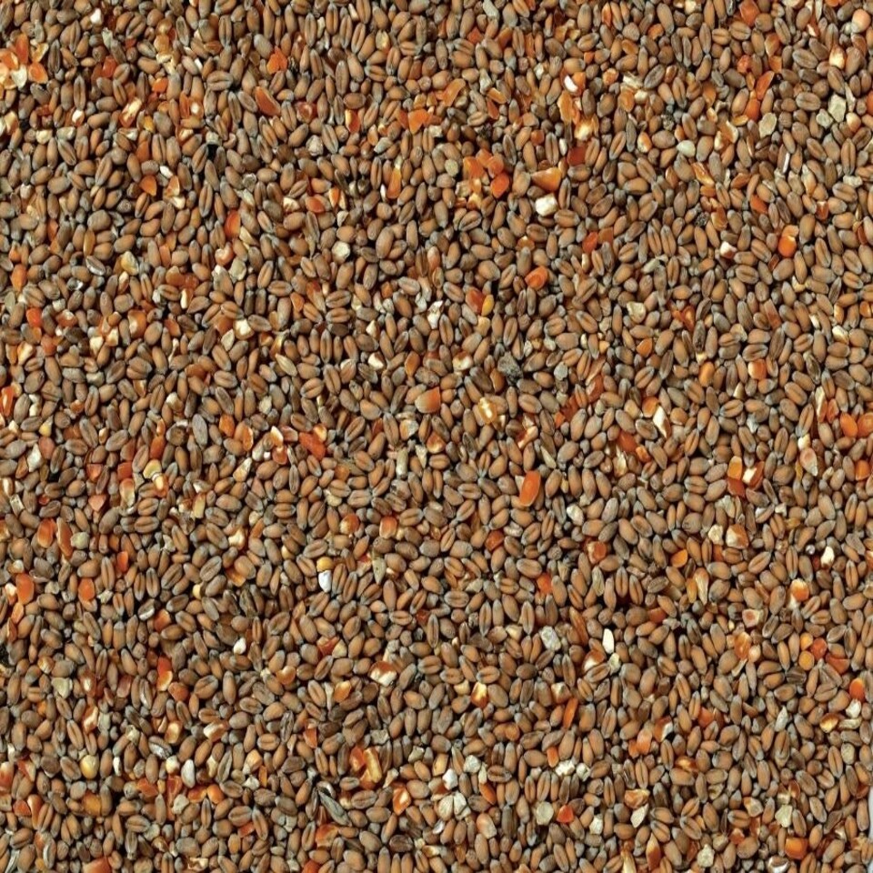 Johnston & Jeff Mixed Poultry Corn 20kg