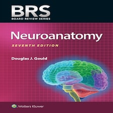 Brs Neuroanatomy 7e