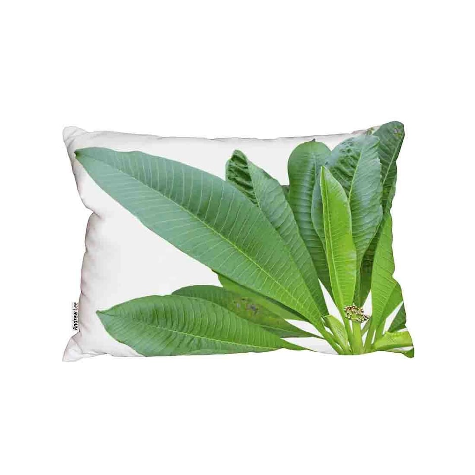 Collection Of Green Leaves On White Outdoor Cushion