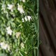 image 8 of Outsunny 12PCS Artificial Boxwood Panel  Faux Rhododendron Greenery Backdrop