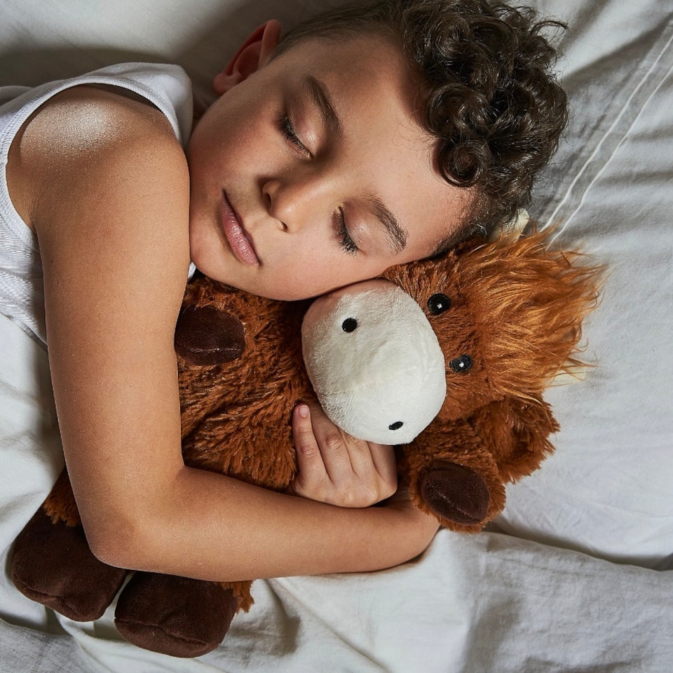 image 1 of Warmies Plus Highland Cow Microwavable Weighted Teddy