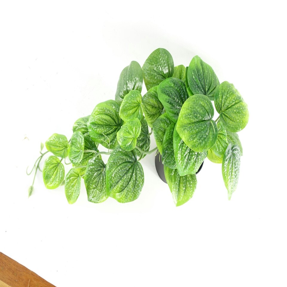 image 1 of Artificial Trailing Green Potted Pothos Plant Botanik