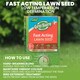 image 5 of Gro-Sure Fast Acting Lawn Seed 80 Square Meter Quick Growing Hard Wearing Grass Ideal for Bare Patches & Overseeding | Brown