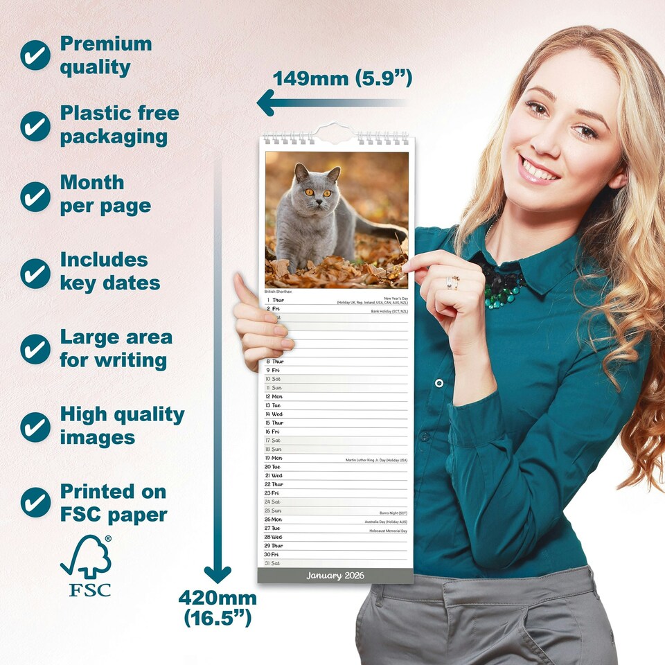 image 1 of Cats Slim 2026 Calendar | Slimline Wall Calendar | Cat Gift | Plastic Free Packaging | by Avonside Publishing [Calendar] Avonside Publishing Ltd
