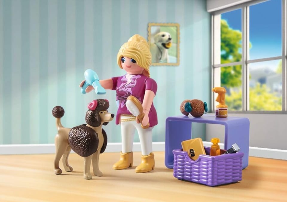 image 1 of Dog Groomer