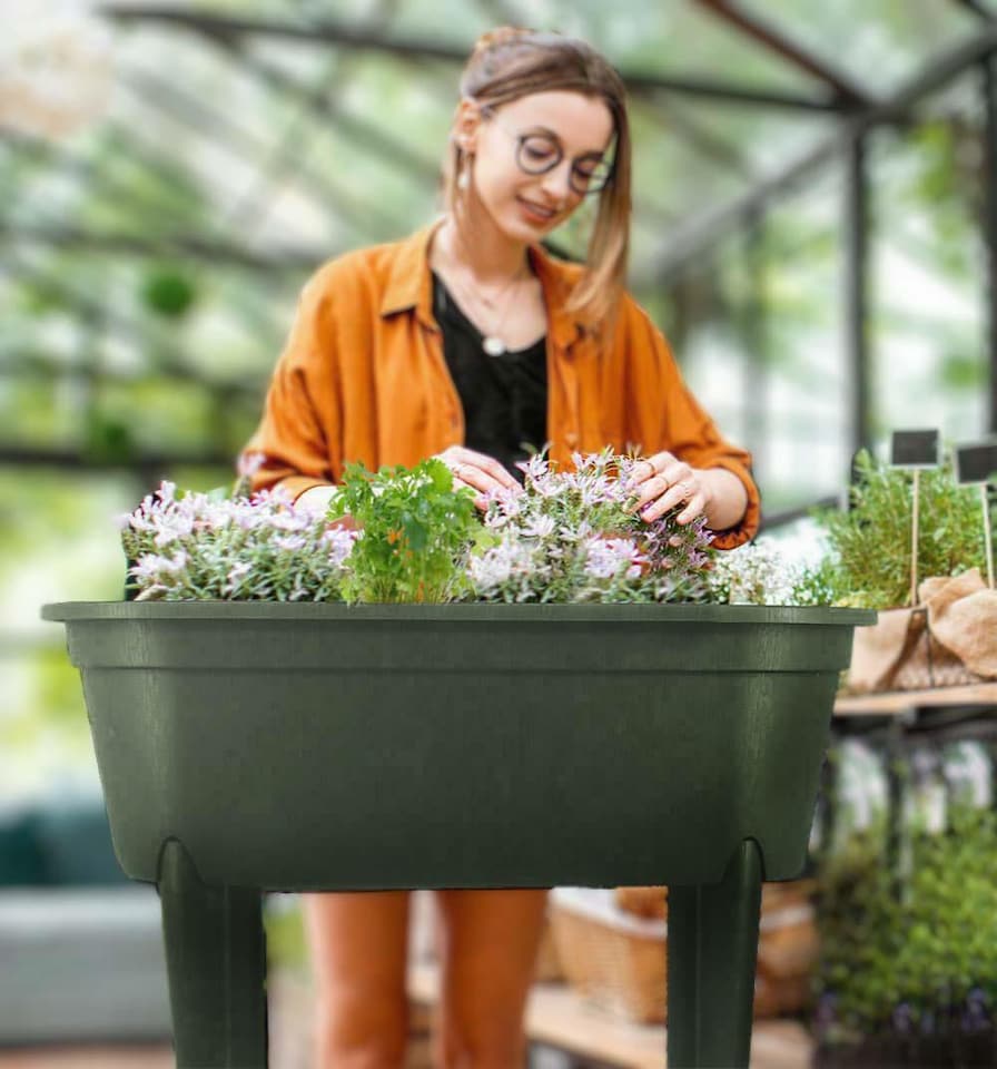 image 1 of Mini Propagator Greenhouse Raised Trug