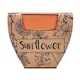 image 2 of MidOcean Sunflower Terracotta Seed Plant Pot - Wood - 5cm x 6cm x 5.5cm