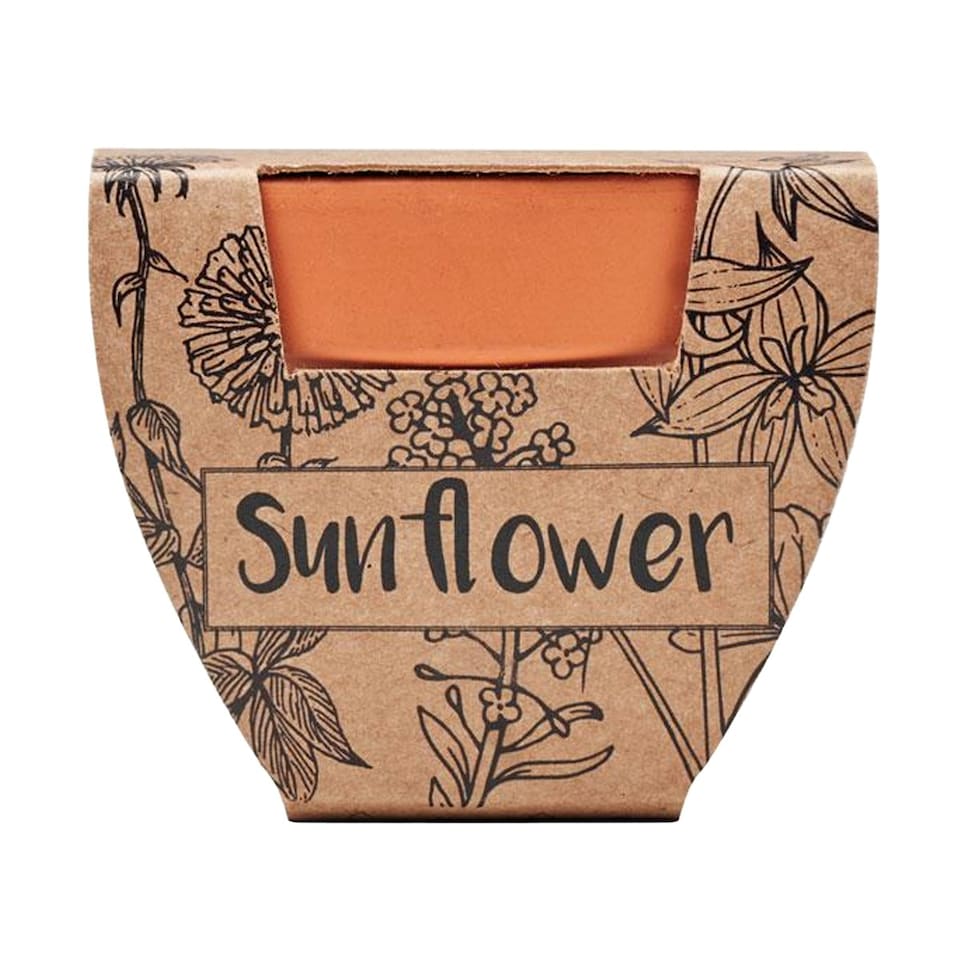 image 1 of MidOcean Sunflower Terracotta Seed Plant Pot - Wood - 5cm x 6cm x 5.5cm