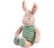 image 1 of Disney Piglet Plush Soft Toy Teddy Bear Baby Gift Winnie Pooh Rainbow Designs