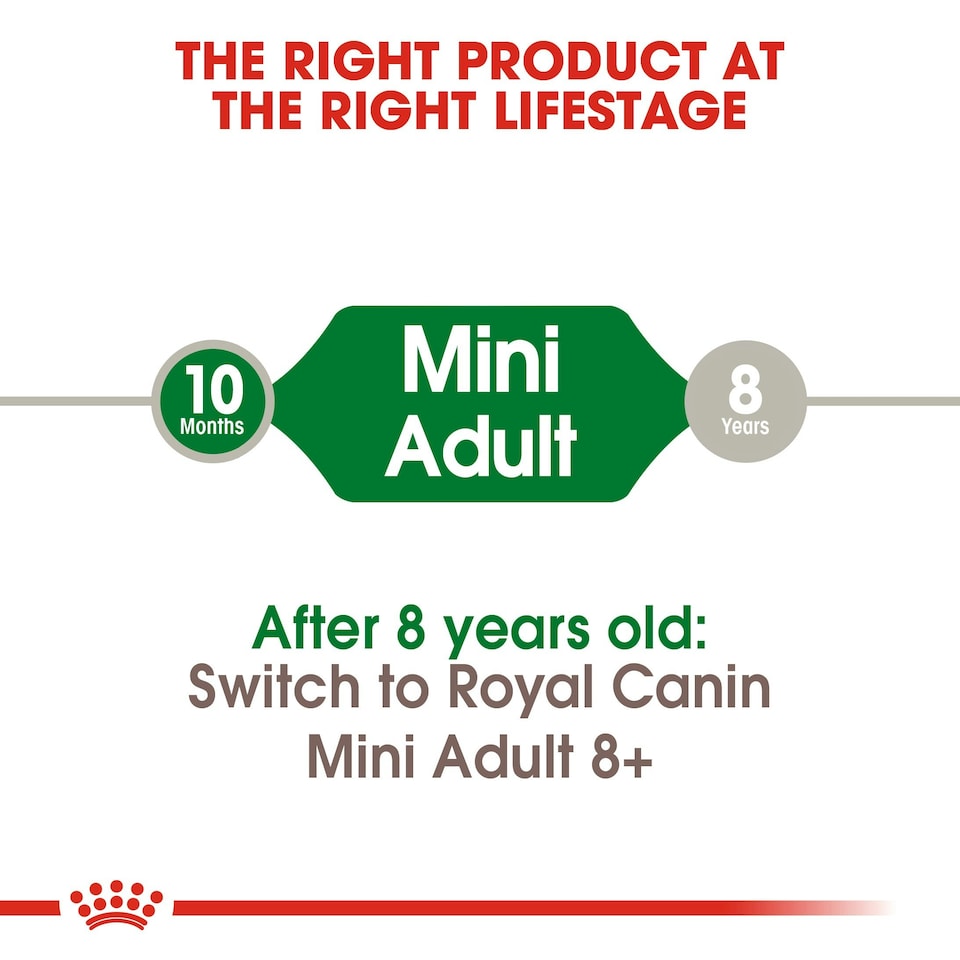 image 1 of ROYAL CANIN® Mini Adult Dry Dog Food N/A | Size: 2kg