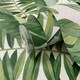 image 4 of Fine Decor A-Street Palm Leaf Wallpaper - Green/Cream - 32.1ft x 21in Green