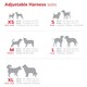 image 2 of Dog H-Harness Design Unicorn Purple Purple | M