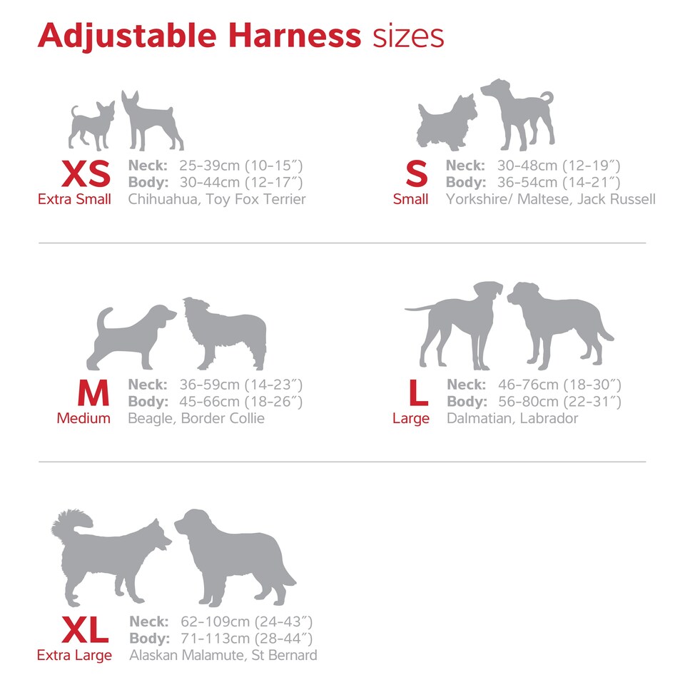 image 1 of Dog H-Harness Design Unicorn Purple Purple | M
