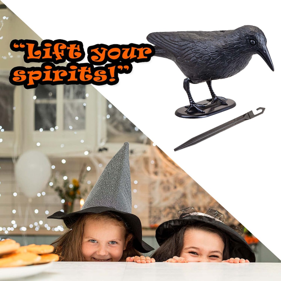 image 1 of vfm-estore Halloween Black Crow Decoration with Ground Spike - 19.4 x 13 cm