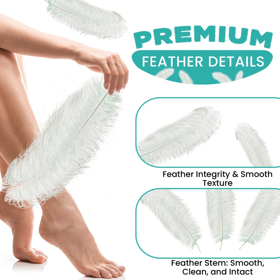 image 1 of 50cm - 60cm Large Ostrich Feathers, Showgirl Spadones - 5pcs