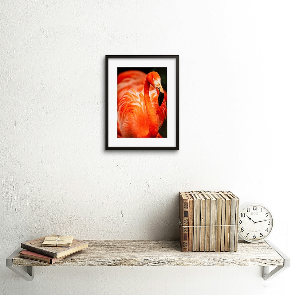image 1 of Flamingo Bird Close Up Photograph Animal Lover 9x7" Black Framed Wall Art Print