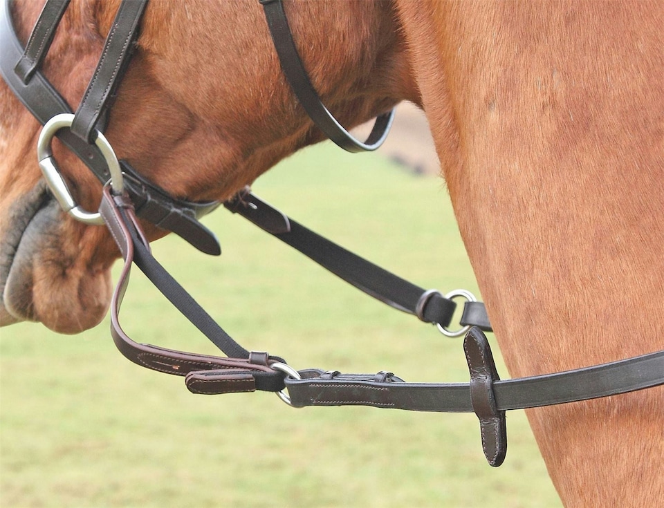 image 1 of Shires Flexi Rein Black | Size: Pony
Colour: Black