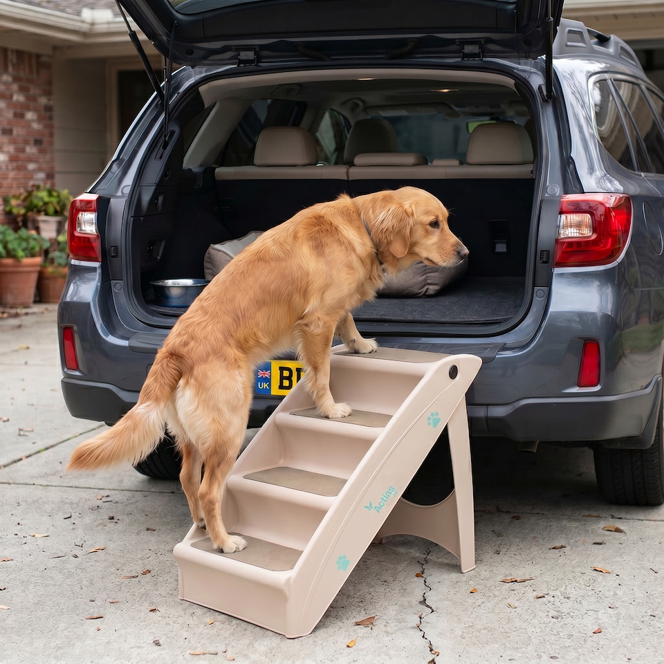 image 1 of Lightweight Folding Pet Stairs Beige