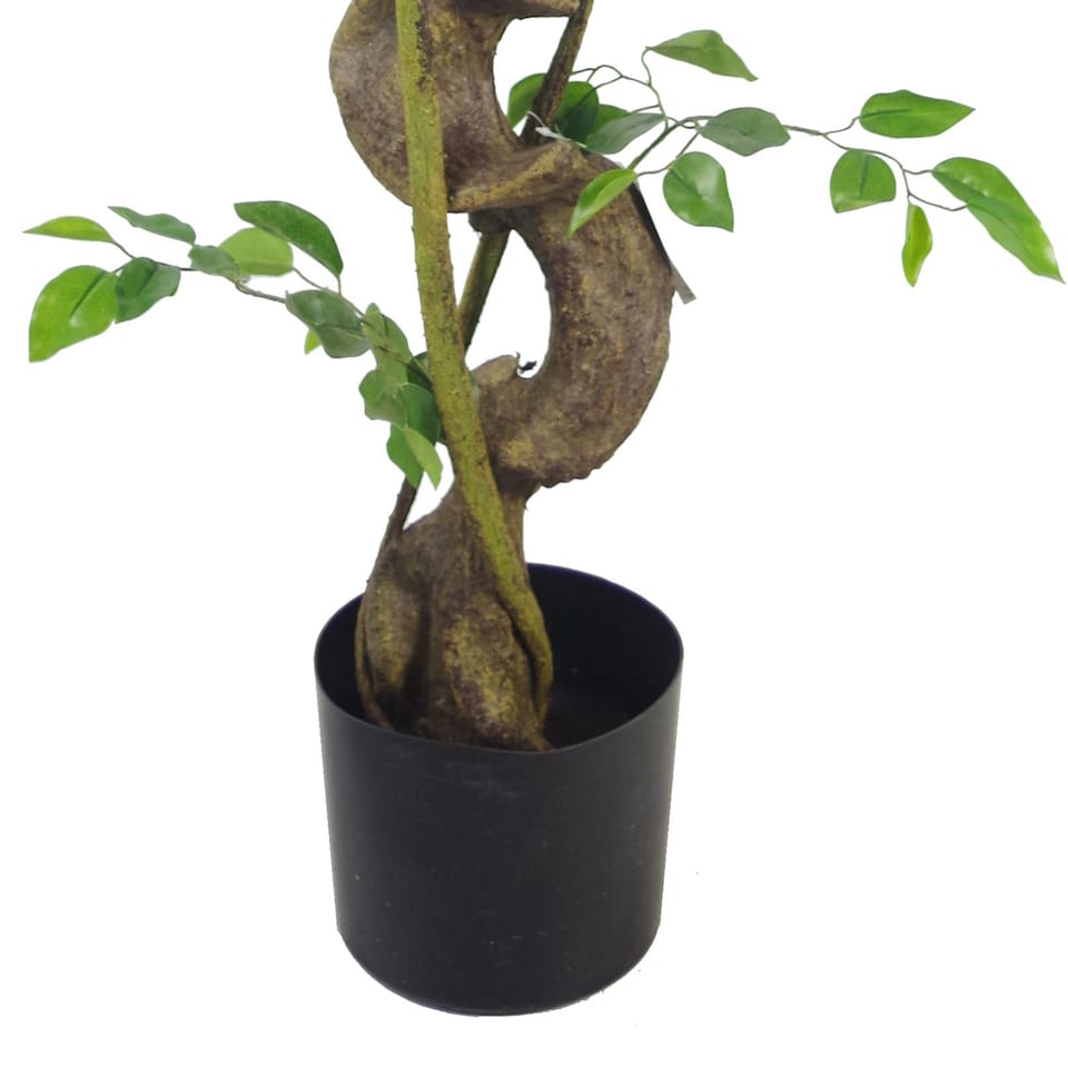image 1 of Artificial Trees 120cm Medium Twisted Ficus 120cm | Green | 4ft