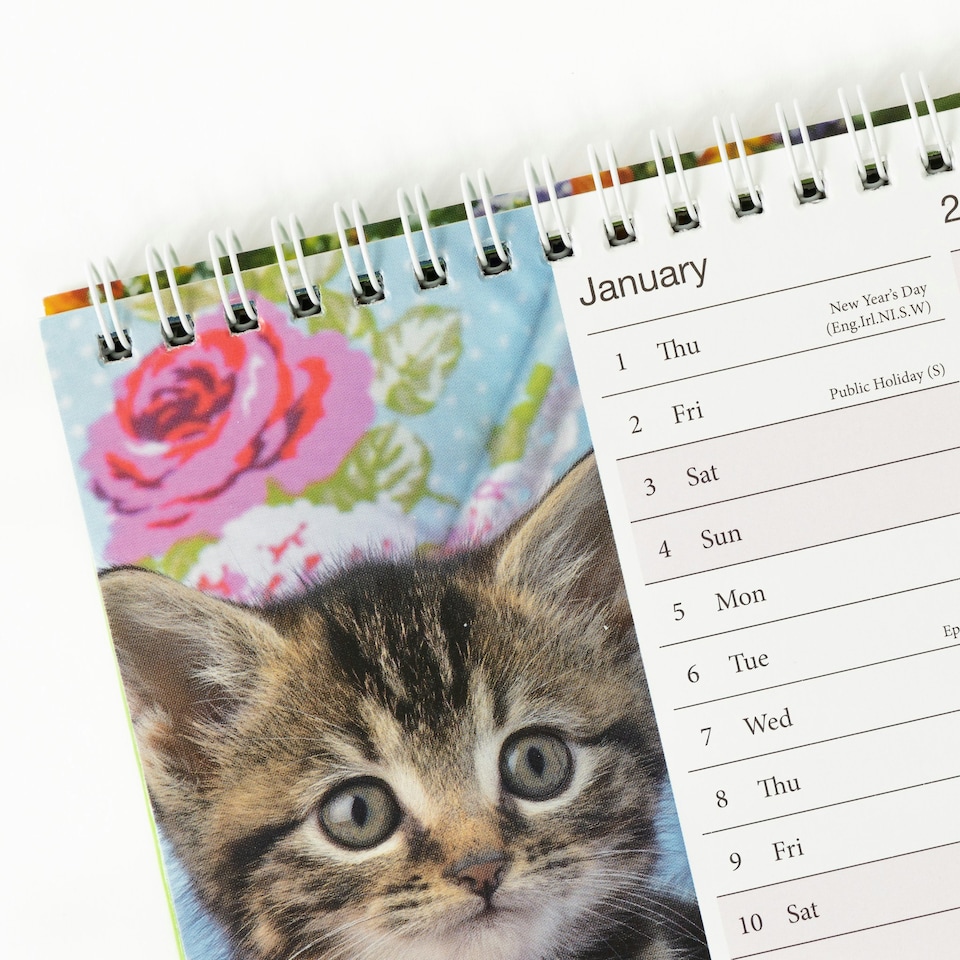 image 1 of 2026 Desk Calendar Kittens Design