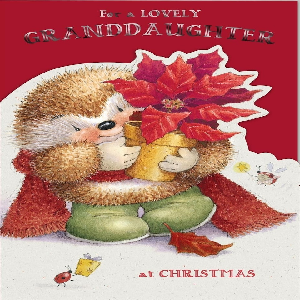 image 1 of Country Companions Granddaughter Christmas Card