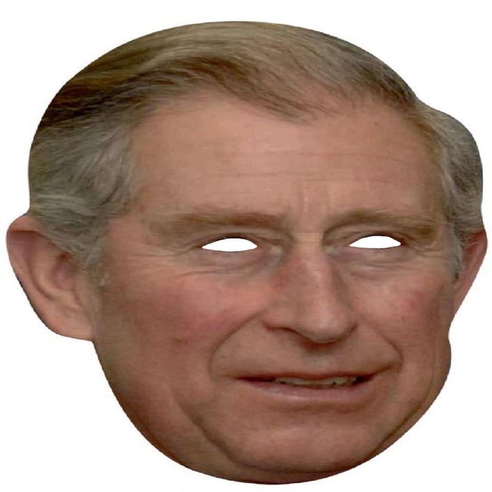 image 1 of 10pcs Prince Charles Masks Blue