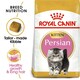 image 1 of Royal Canin Cat Persian Kitten 4KG