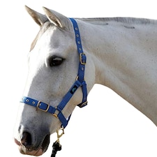 Hy Holly Fully Adjustable Head Collar - Royal - Pony