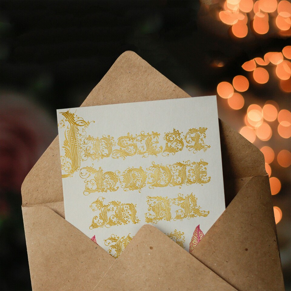 image 1 of Model Book of Calligraphy Art Card Chard and Red Winged Grasshopper