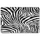 image 4 of The Zebra Print Collection (Placemat)