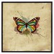 image 2 of Butterfly & paint splats (Picutre Frame) Grey | XS