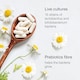 image 5 of SuperSelf Probiotics Complex 50 Billion CFU 60 Acid-Resistant Capsules
