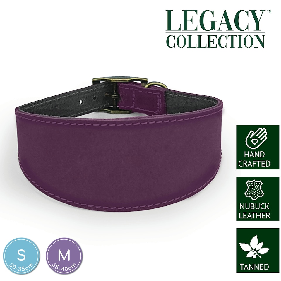 image 1 of HugglePets Legacy Leather Hound Collar - Merlot N/A | M